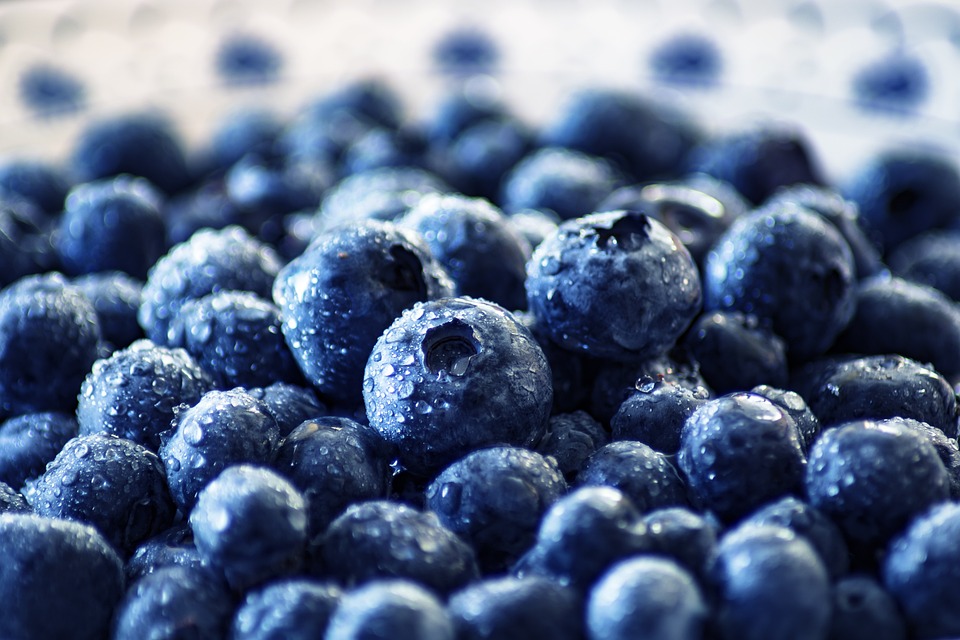 Nutrition